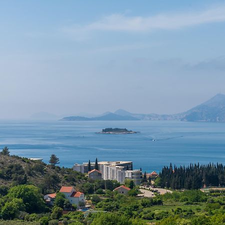 Pansion Arte Zvrko Apartment Zvekovica Bagian luar foto