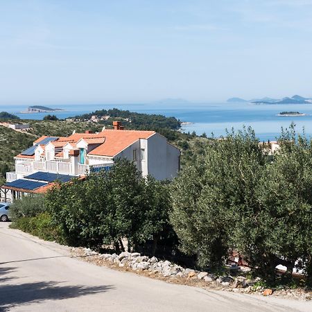 Pansion Arte Zvrko Apartment Zvekovica Bagian luar foto